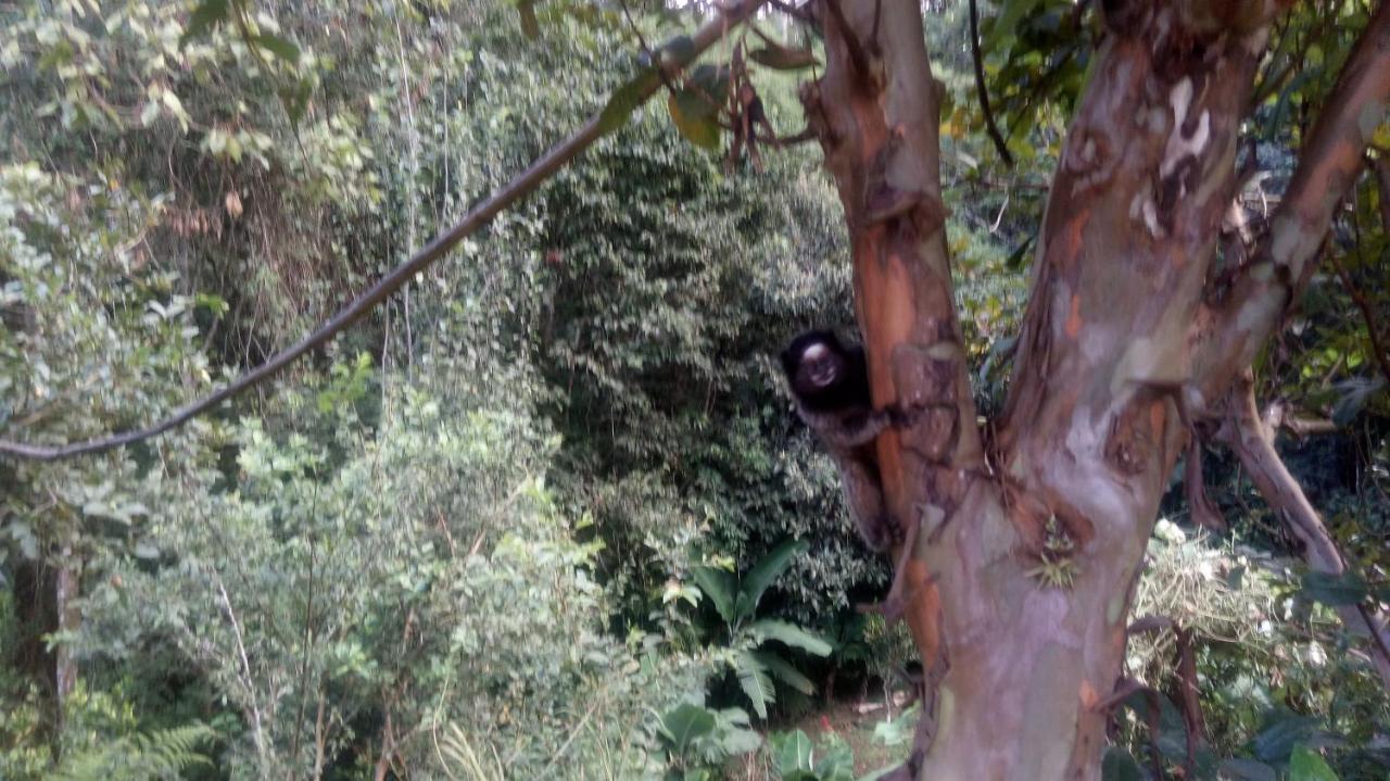 Chales Pouso Do Vale Visconde De Maua Exterior foto